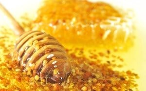 Мед с пергой