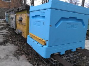 Преимущества ульев бибокс