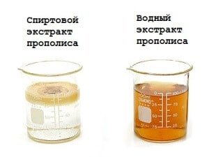Настойка прополиса: применение в домашних условиях