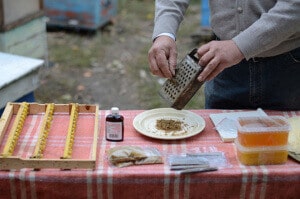 Приготовление водной настойки прополиса