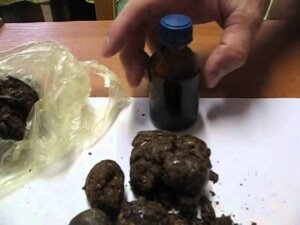 Как сделать настойку прополиса на спирту