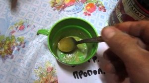 Как приготовить прополис на спирту