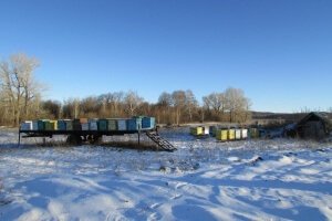Подготовка ульев к зимовке