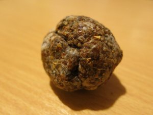 Прополис от простатита