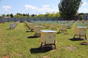 Ограждение пасеки профилем