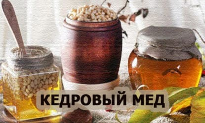 Кедровый мед с живице и орехами