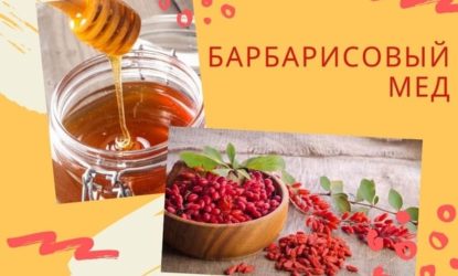 Польза барбарисового меда